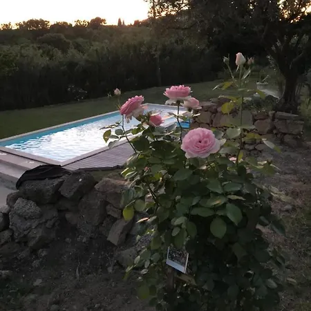 Luxe Vue Sur Piscine Et Parc *
